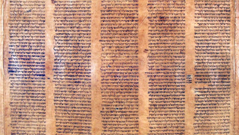 Torah Bologna2