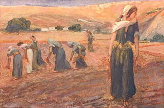 Ruth gleaning by J. James Tissot