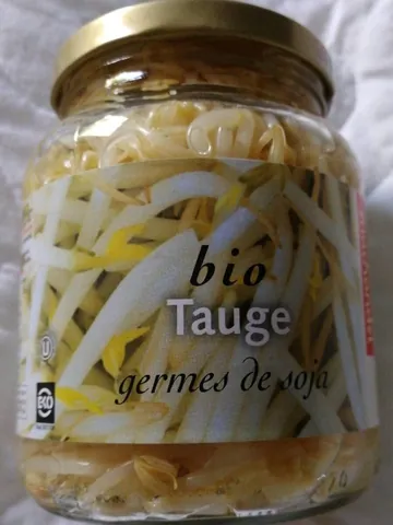 Machandel Germogli di Soya